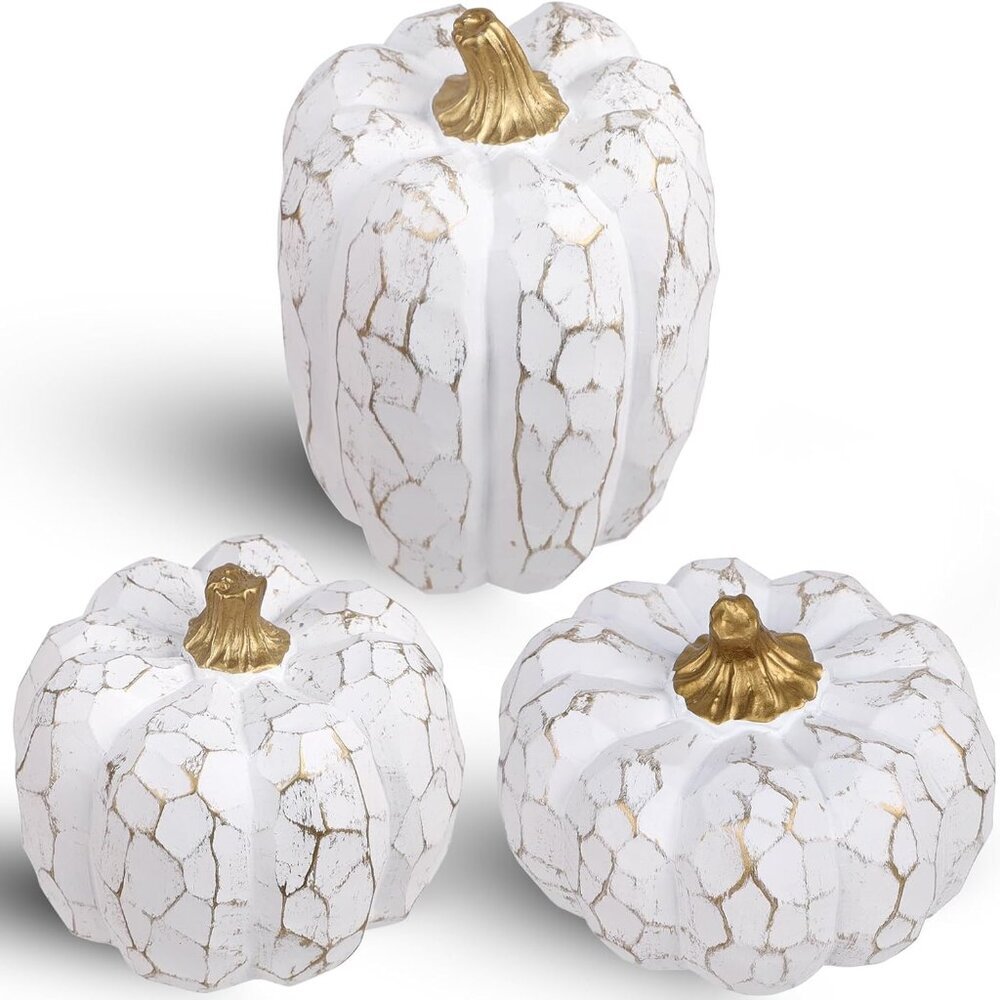 Pumpkins Fall Decorations for Home- Set of 3 Elegant White Pumpkin Resin Thanksg
